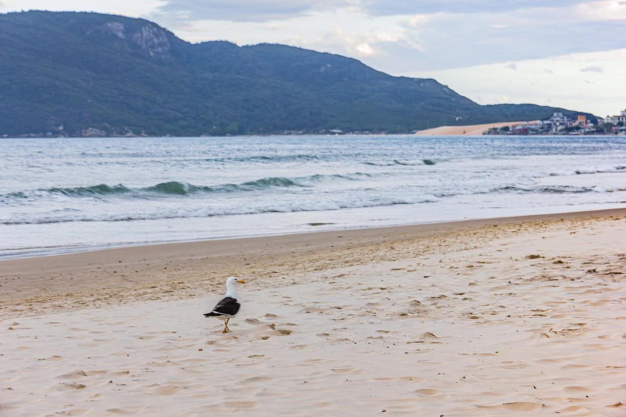 Florianópolis Cobertura Com Vista Mar Para 6 Hospedes, 150 Metros Da Praia Dos Ingleses Ing17 المظهر الخارجي الصورة